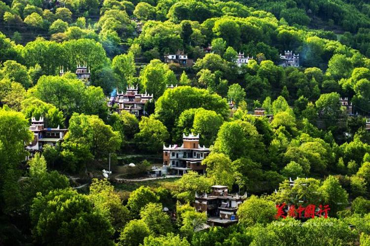 文化领域落实乡村振兴战略重要之举